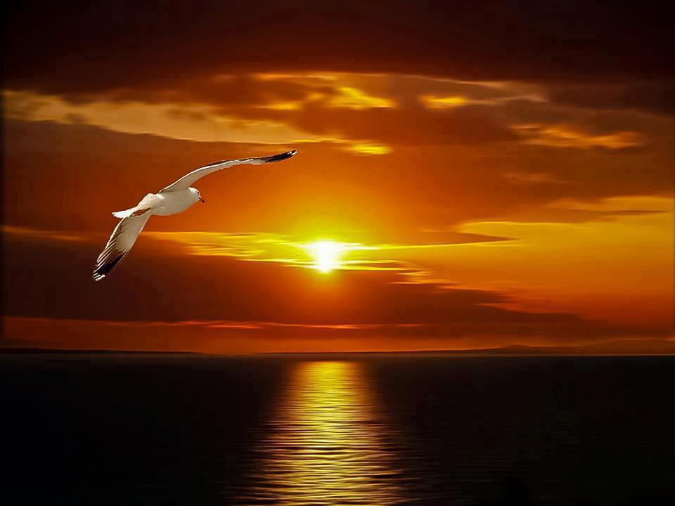 299302_orig