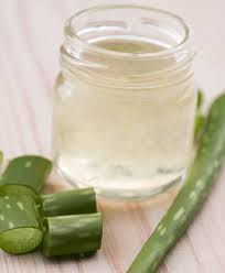 images aloe
